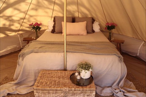 Pitch South Coast - E Caravan Parks 1