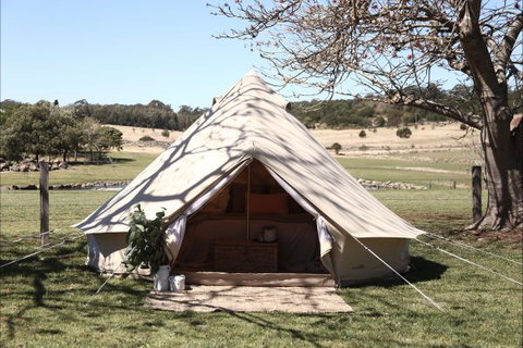 Pitch South Coast - E Caravan Parks 2