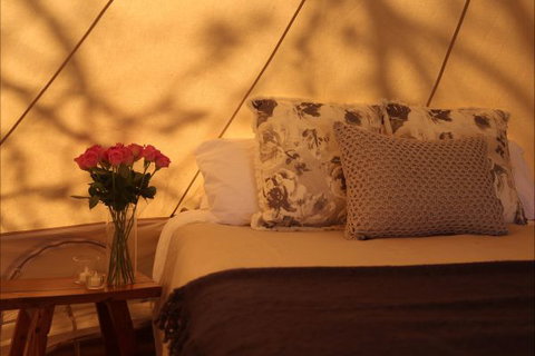 Pitch South Coast - E Caravan Parks 4