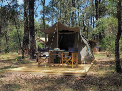Tall Trees Camping On The Great Ocean Road - E Caravan Parks 0