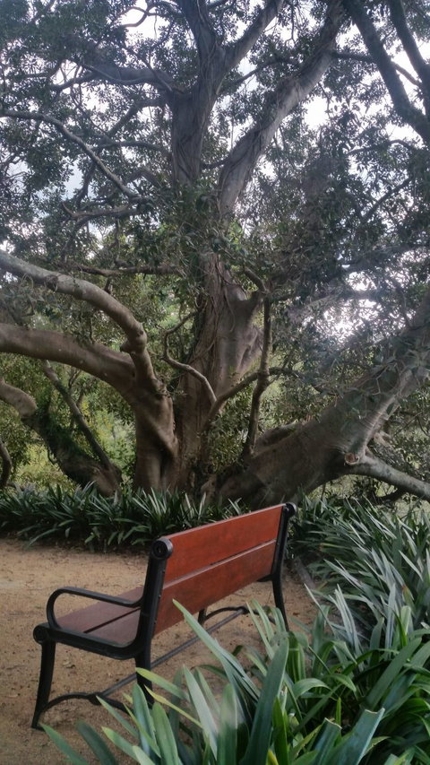 Plynlimmon The Cottage At Kurrajong - E Caravan Parks 19