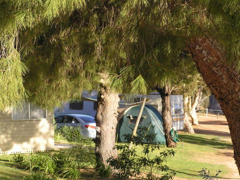 Barmera North Lake Caravan Park - E Caravan Parks 0