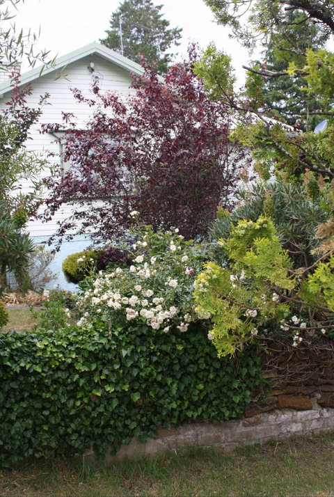 Katoomba Green Gables - E Caravan Parks 1