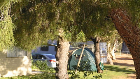 Barmera North Lake Caravan Park - E Caravan Parks 4