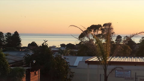 Oyster Court Motel And Holiday Units - E Caravan Parks 0