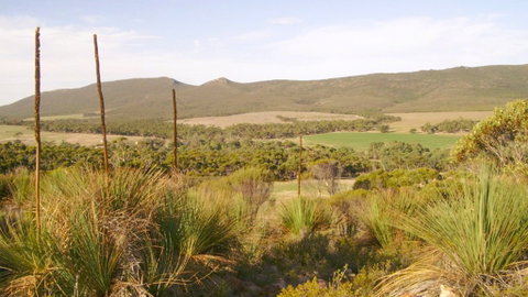 Nyroca Campsite & Group Accommodation - E Caravan Parks 0