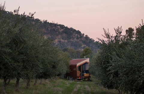 Shacky In The Olive Grove - E Caravan Parks 0