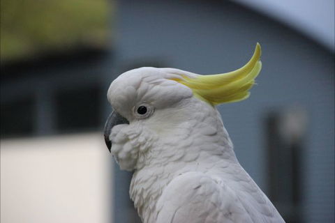 Sundial Holiday Apartments - E Caravan Parks 1