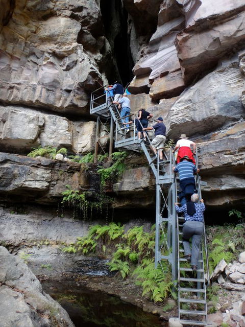 Takarakka Bush Resort Carnarvon Gorge - E Caravan Parks 0
