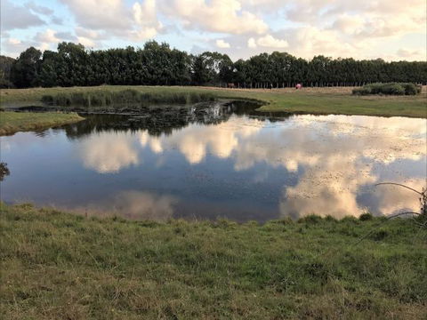 Woodbyne Resort - E Caravan Parks 2