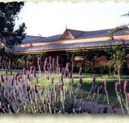 Bluebush Estate - E Caravan Parks