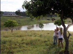 Branell Homestead Bed & Breakfast - E Caravan Parks 4