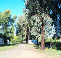Cudal Caravan Park - E Caravan Parks