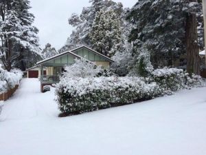 Brantwood Cottage - E Caravan Parks 5