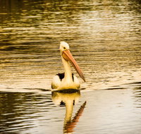 River Shack Rentals - Brenda Park