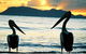 Villa Marine Cairns Beach Self Contained Holiday Apartments - thumb 4