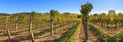 DeVine Escape - E Caravan Parks 0