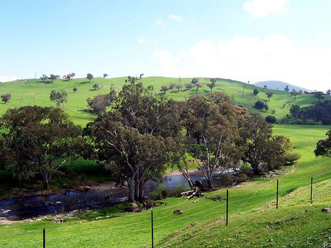 Elm Cottage - E Caravan Parks 4