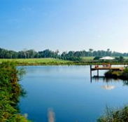 Forest Rise Eco Retreat - E Caravan Parks