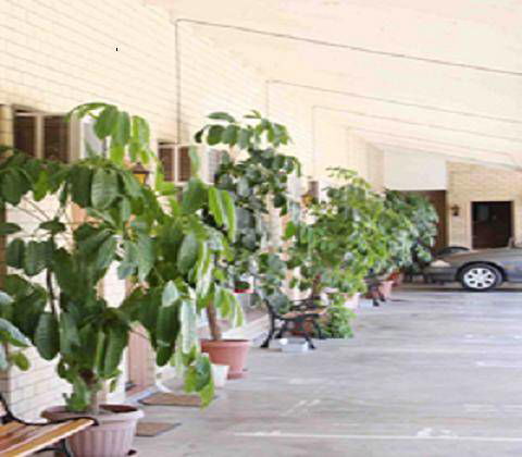 Gunsynd Motor Inn - E Caravan Parks 1