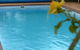 Horatio Motel Mudgee - thumb 4