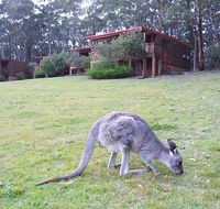 Jenolan Caves Cottages - E Caravan Parks
