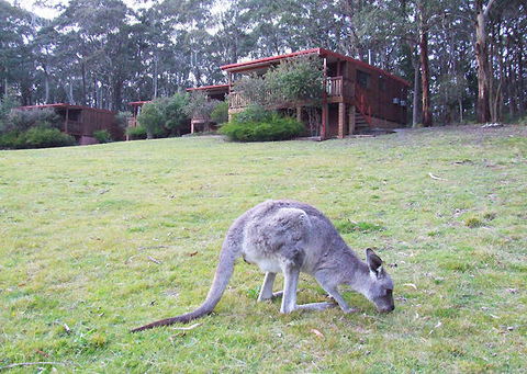 Jenolan Caves Cottages - E Caravan Parks 0