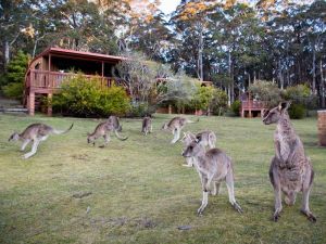 Jenolan Caves Cottages - E Caravan Parks 1