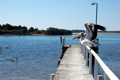 Moby Dick Waterfront Motel - E Caravan Parks 4