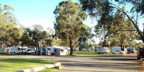 Mt Barker Caravan Park - E Caravan Parks 0