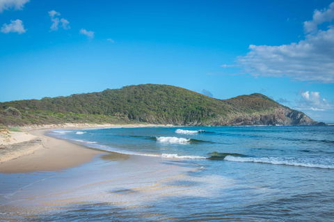 Pacific Palms Resort - E Caravan Parks 9