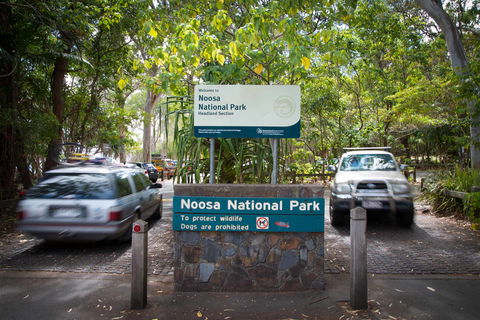 Palm Court Noosa - E Caravan Parks 9