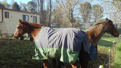 Snowy River Holiday Park - E Caravan Parks 3