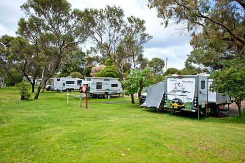 Acclaim Pine Grove Holiday Park - E Caravan Parks 11