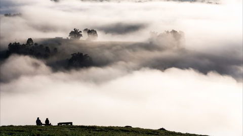 Balingup Heights Hilltop Forest Cottages - E Caravan Parks 9