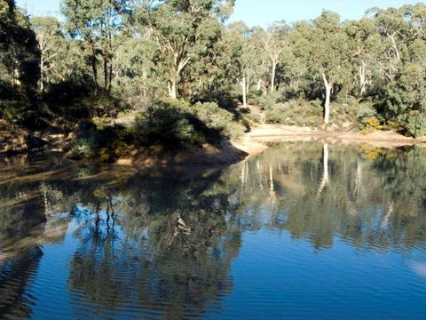 Toodyay Holiday Park & Chalets - E Caravan Parks 4
