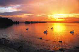 Two Shores Holiday Village - E Caravan Parks 4