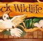 Wave Rock Hotel Motel - E Caravan Parks