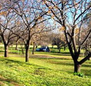 Wellington Caves Caravan Park - E Caravan Parks
