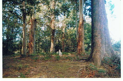 Whispering Spirit Holiday Cottages And Miniature Pony Stud - E Caravan Parks 2