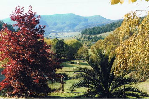 Whispering Spirit Holiday Cottages And Miniature Pony Stud - E Caravan Parks 5