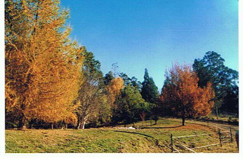 Whispering Spirit Holiday Cottages And Miniature Pony Stud - E Caravan Parks 9