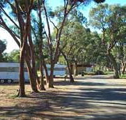 Wycheproof Caravan Park - E Caravan Parks