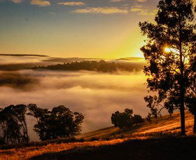 Balingup Heights Hilltop Forest Cottages - E Caravan Parks 1