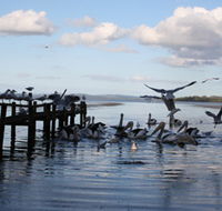 Pelicans At Denmark - Holiday Home - E Caravan Parks
