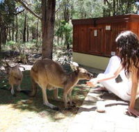 Yelverton Brook Eco Spa Retreat and Conservation Sanctuary - E Caravan Parks
