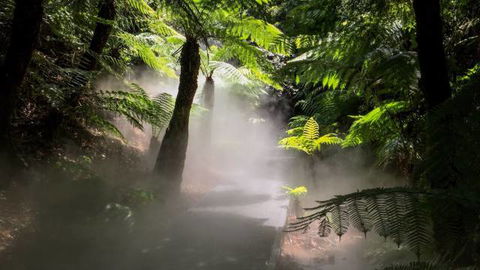 Australian National Botanic Gardens - E Caravan Parks 4