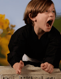 Turner Galleries - E Caravan Parks 3