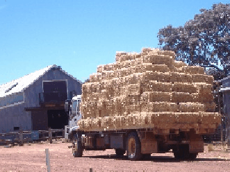 Avondale Discovery Farm - E Caravan Parks 1