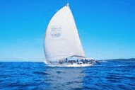 Manly Harbour Village - E Caravan Parks 0